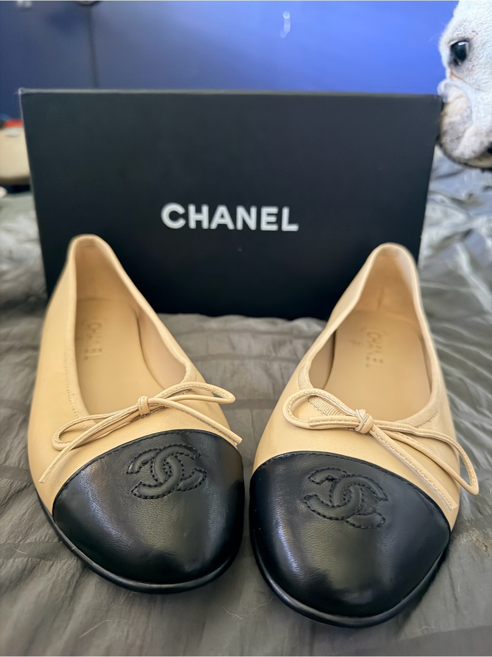 Stunning ballet flats